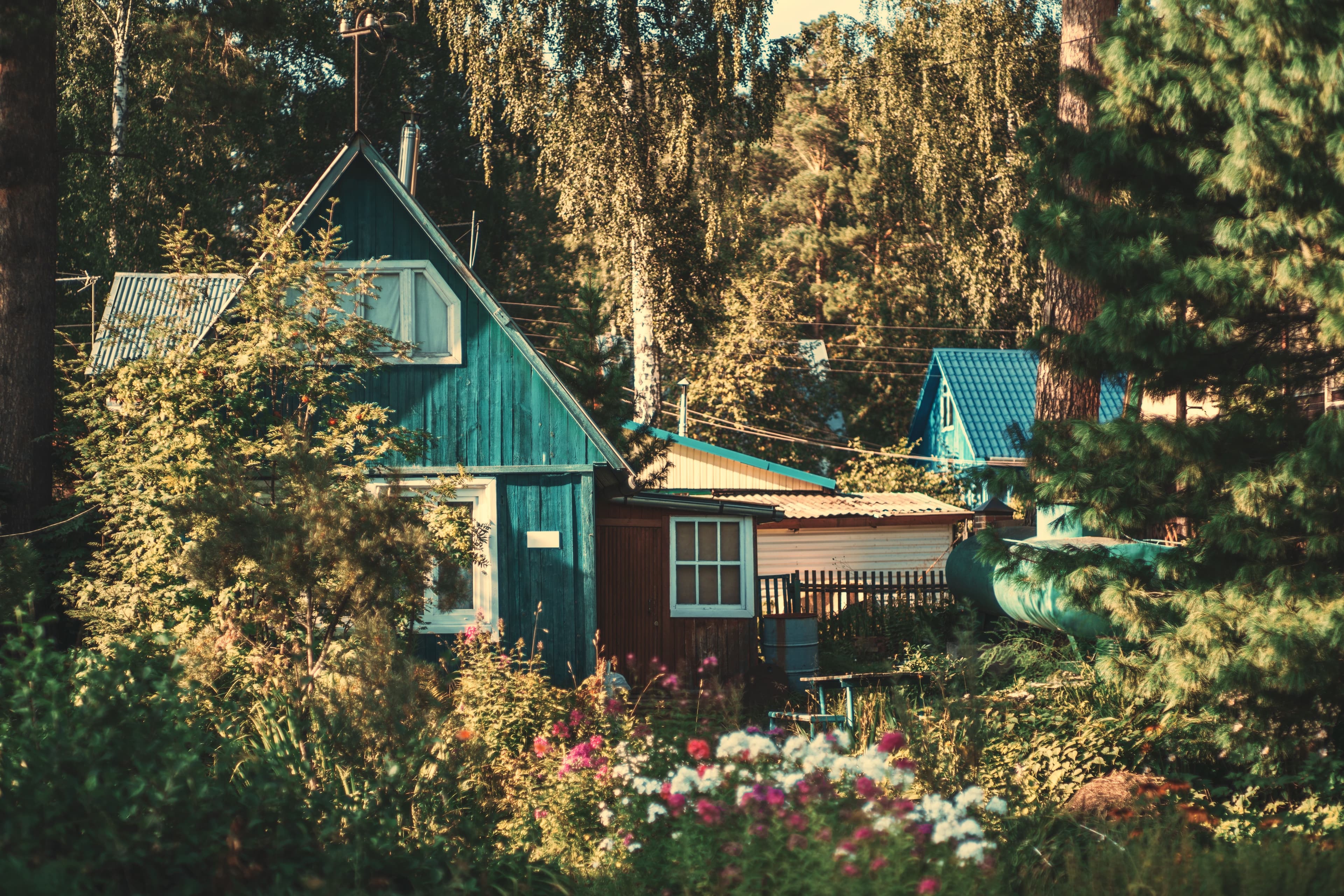 Rustic Cabins Tucked Away in Verdant Forest Setting
